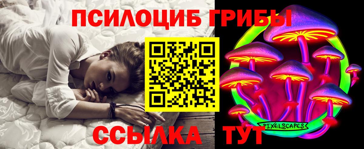 купить закладку  Вход с VPN  Галлюциногенные грибы прущие грибы  Пенза  Псилоцибиновые грибы Magic Shrooms 