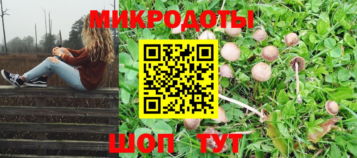 Псилоцибиновые грибы мухоморы Пенза